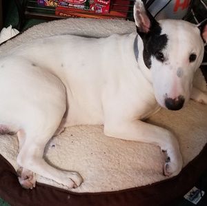 Meet your Posher, Vivian